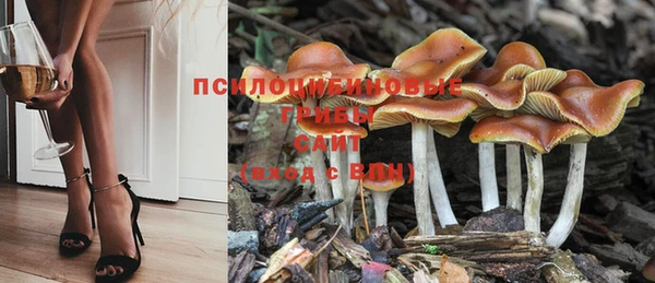 мяу мяу мука Балахна