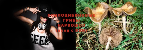 мяу мяу мука Балахна